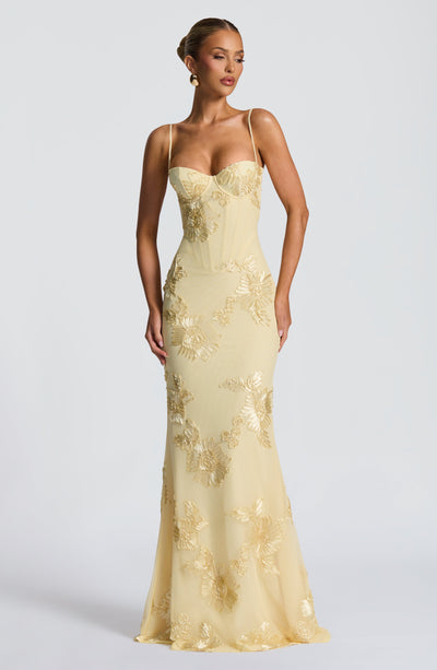 CLEREVE Nuvia Maxi Dress