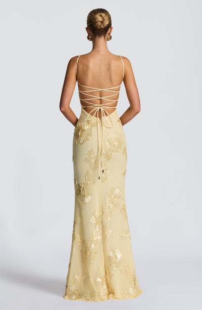 CLEREVE Nuvia Maxi Dress