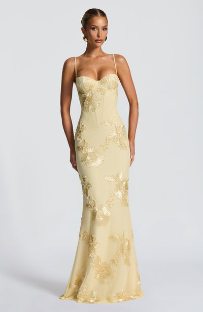 CLEREVE Nuvia Maxi Dress